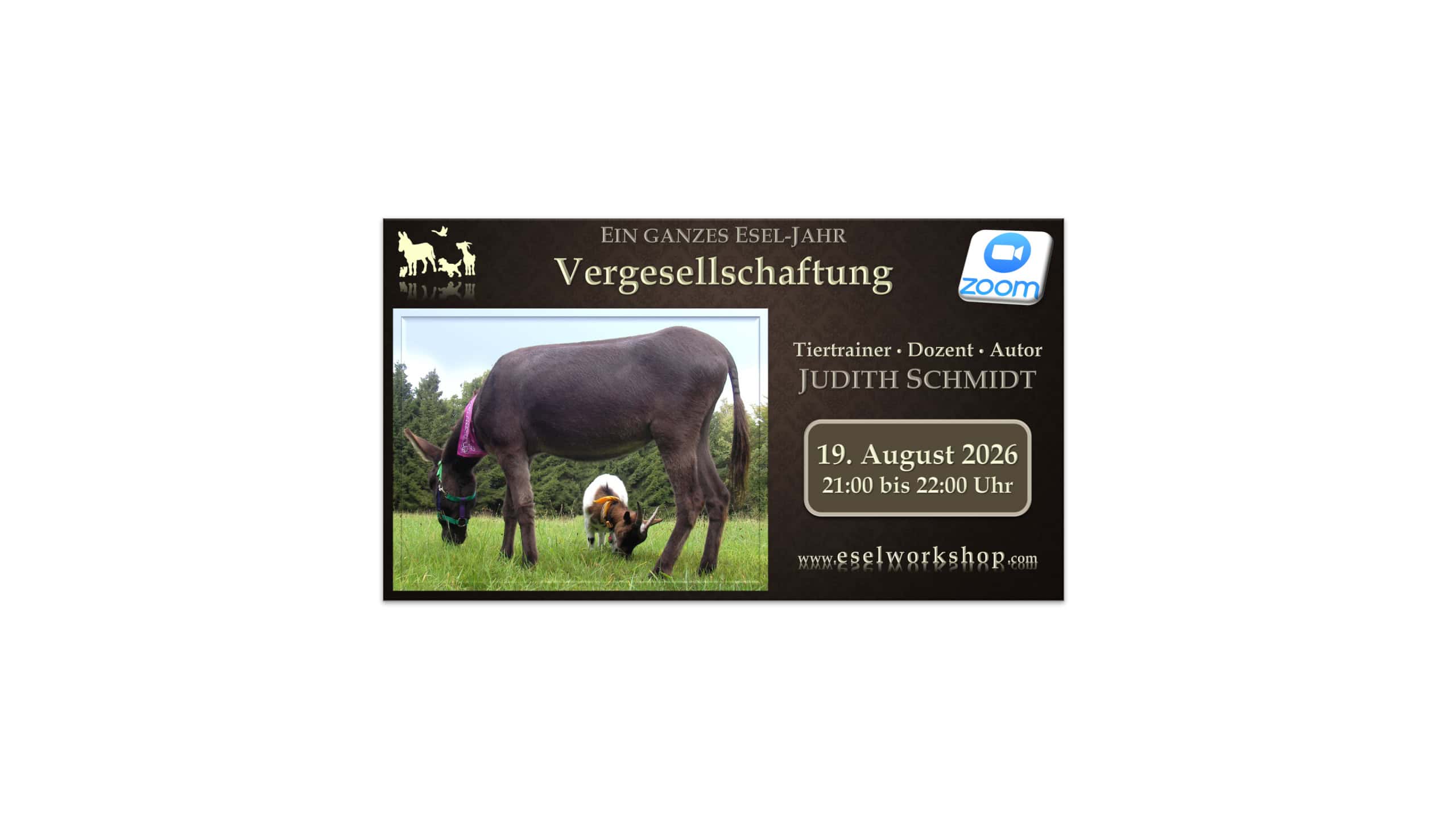 Webinar: Ein ganzes Esel-Jahr | Vergesellschaftung