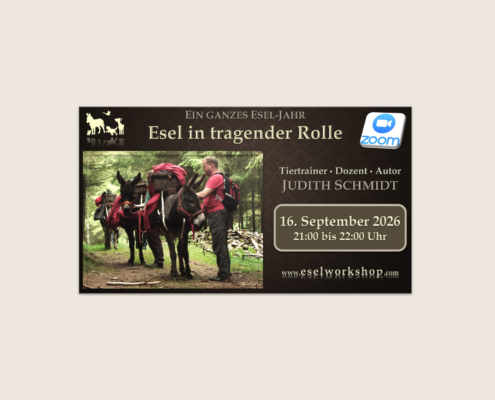 Webinar: Ein ganzes Esel-Jahr | Esel in tragender Rolle