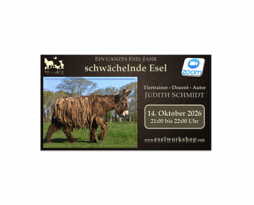 Webinar: Ein ganzes Esel-Jahr | schwächelnde Esel