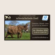 Webinar: Ein ganzes Esel-Jahr | schwächelnde Esel