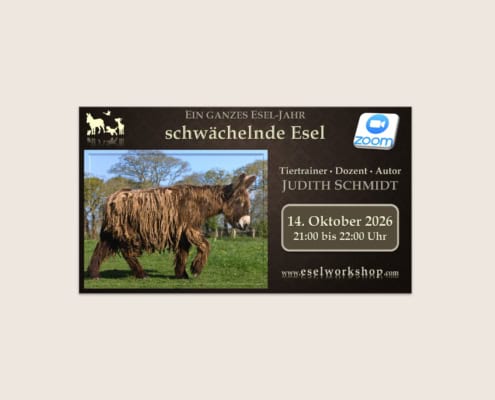 Webinar: Ein ganzes Esel-Jahr | schwächelnde Esel