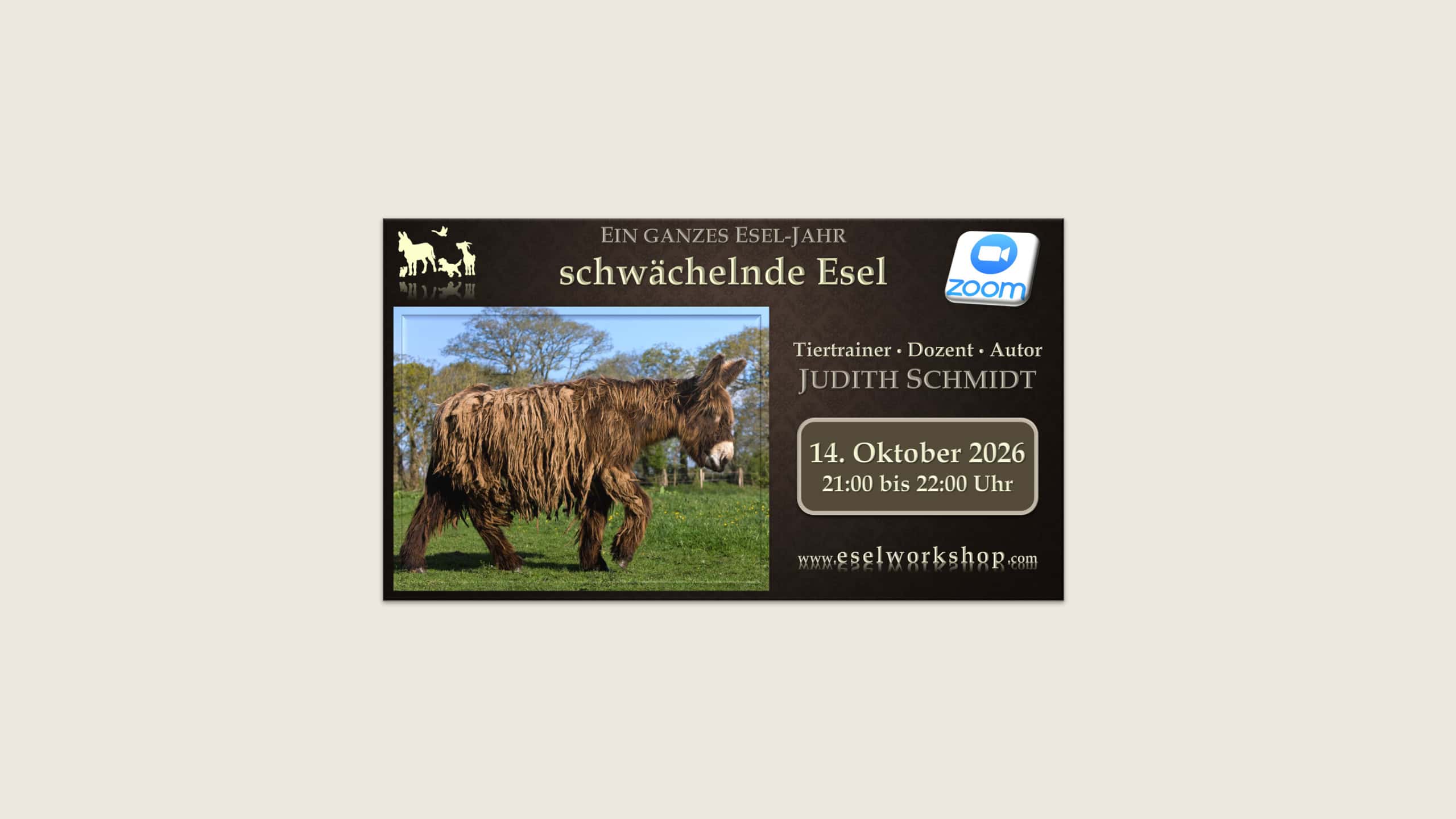 Webinar: Ein ganzes Esel-Jahr | schwächelnde Esel