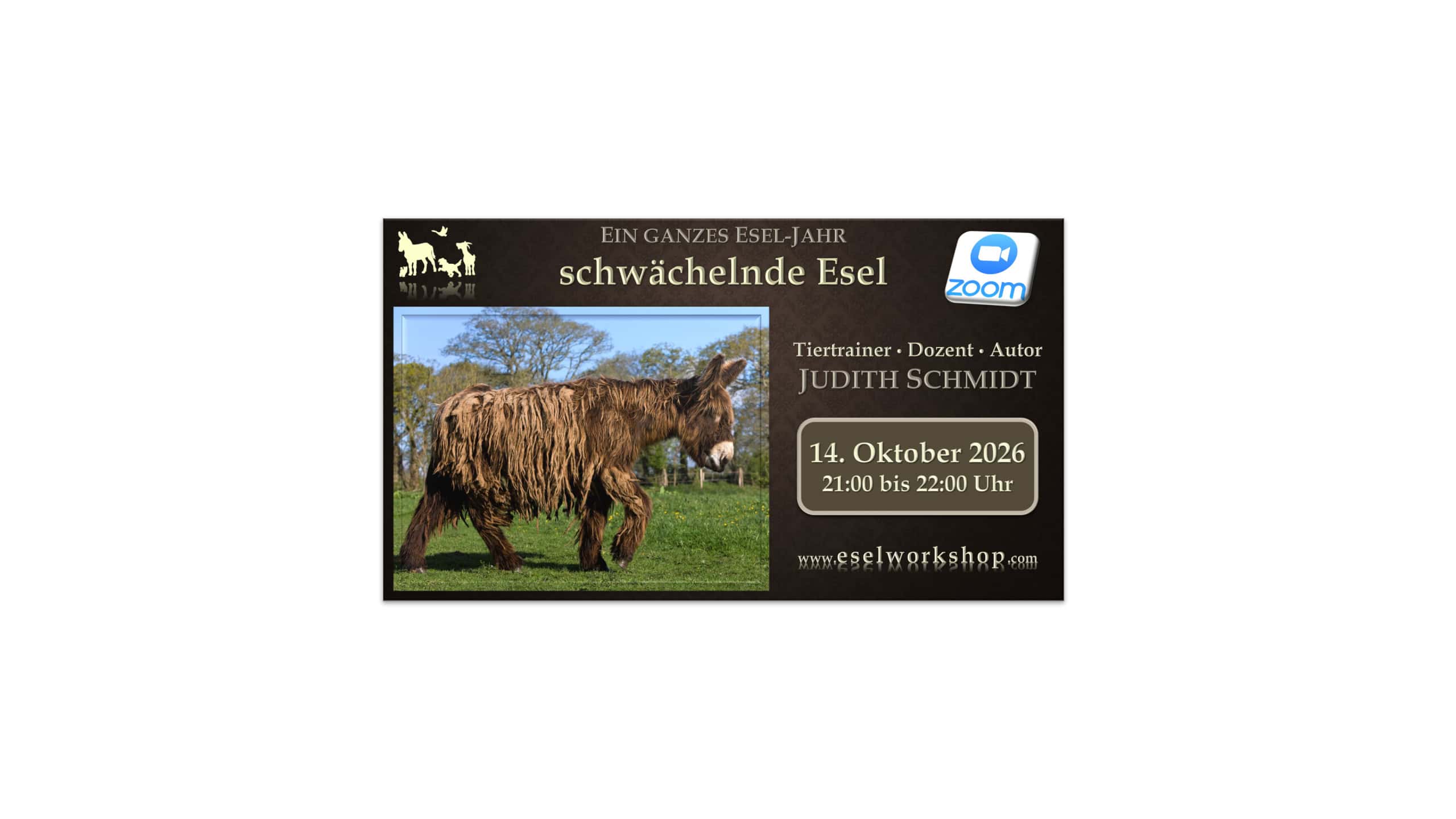Webinar: Ein ganzes Esel-Jahr | schwächelnde Esel