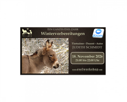 Webinar: Ein ganzes Esel-Jahr | Wintervorbereitungen