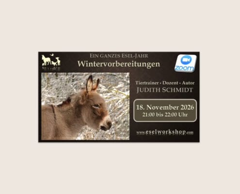 Webinar: Ein ganzes Esel-Jahr | Wintervorbereitungen