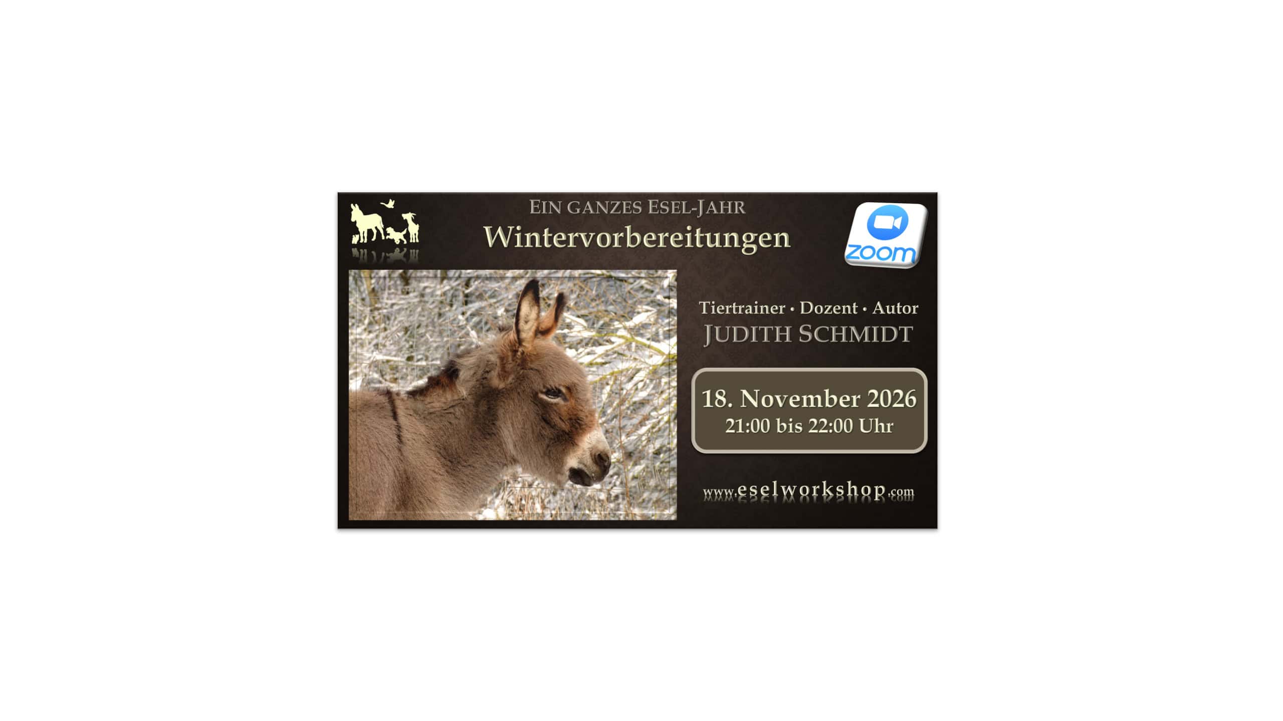 Webinar: Ein ganzes Esel-Jahr | Wintervorbereitungen