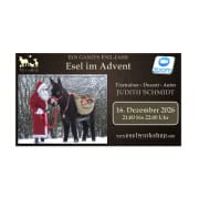 Webinar: Ein ganzes Esel-Jahr | Esel im Advent