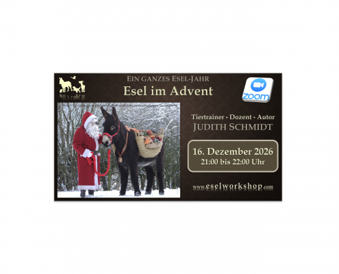 Webinar: Ein ganzes Esel-Jahr | Esel im Advent