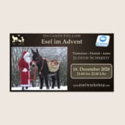 Webinar: Ein ganzes Esel-Jahr | Esel im Advent