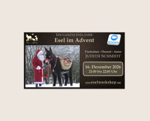Webinar: Ein ganzes Esel-Jahr | Esel im Advent
