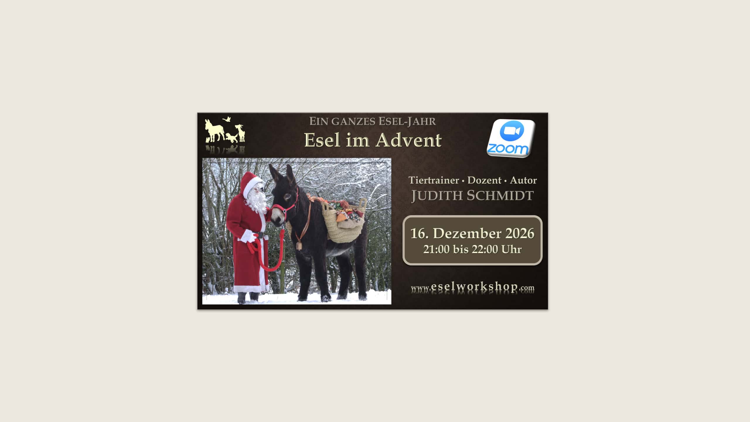 Webinar: Ein ganzes Esel-Jahr | Esel im Advent