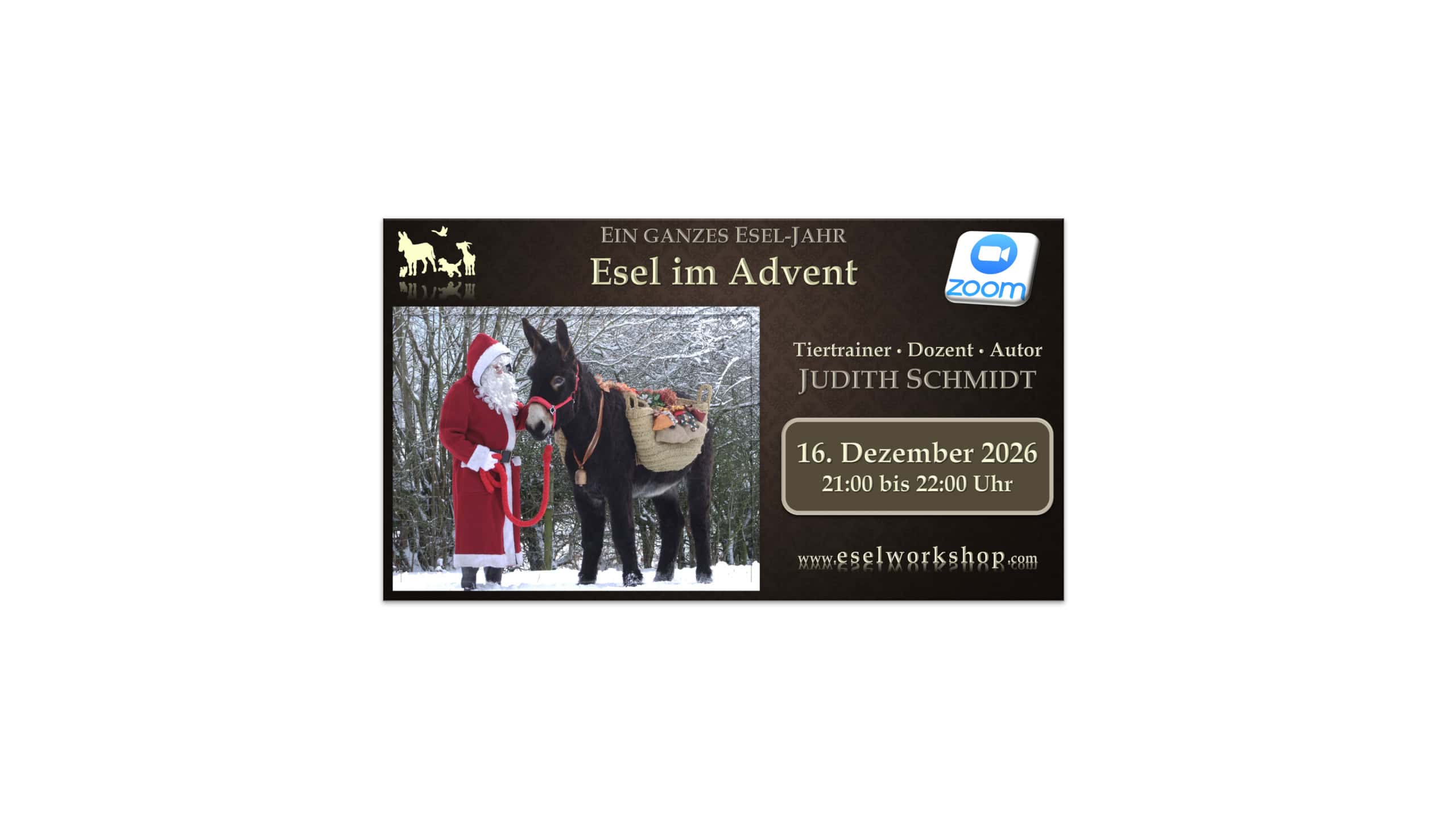 Webinar: Ein ganzes Esel-Jahr | Esel im Advent