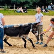 Foto: Esel-Limbo mit Kerstin Nußbaum, Bad Honnef 2025, 495 x 400 Pixel