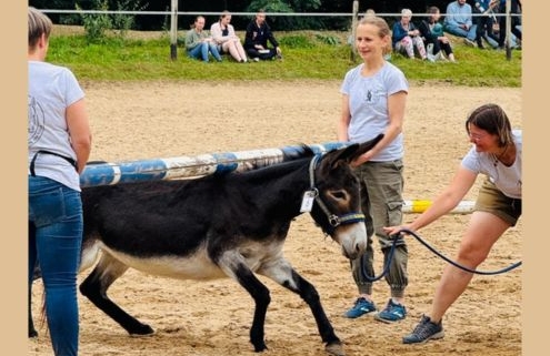 Foto: Esel-Limbo mit Kerstin Nußbaum, Bad Honnef 2025, 495 x 400 Pixel