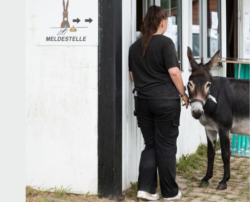 Foto: Meldestelle beim Esel- und Mulitreffen Hasbergen 2024, Felicitas Frädrich, 495 x 400 Pixel