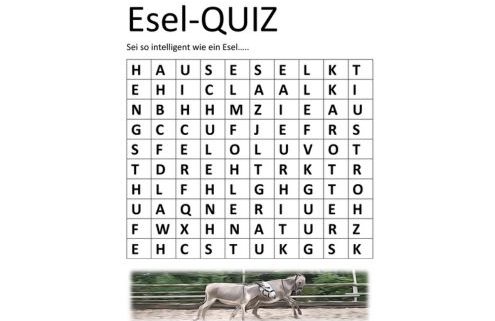 Auszug aus Esel-Post 152: Titelbild zu Esel-Quiz von Claudia Seeger, 495 x 400 Pixel, mittig verkleinert