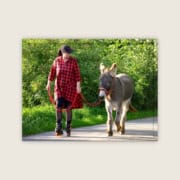 Esel-Trainer | Block 2