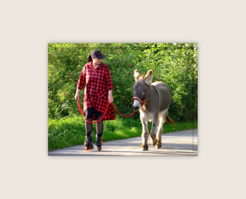 Esel-Trainer | Block 2