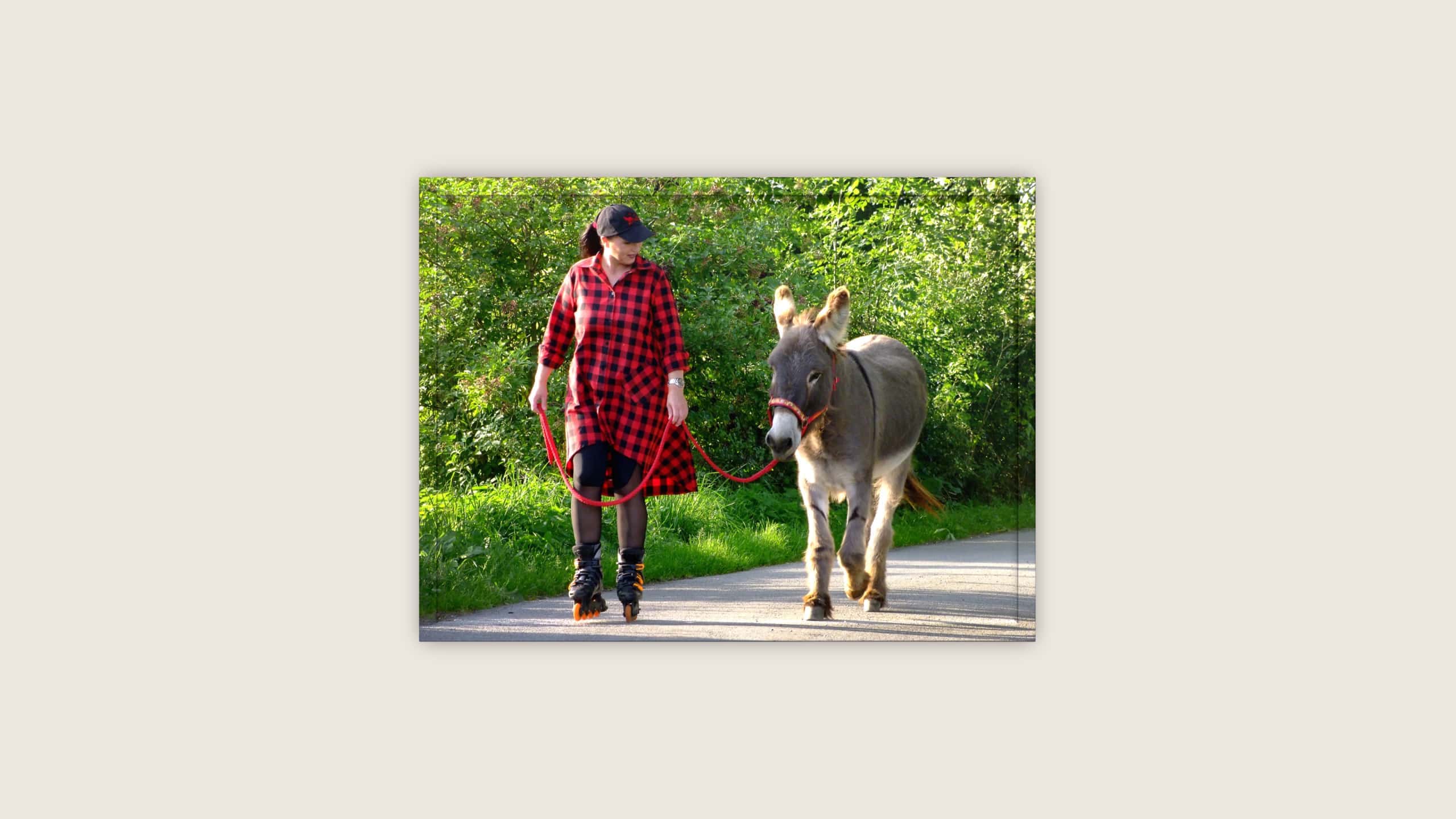 Esel-Trainer | Block 2