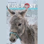 Titelseite Esel-Post 151, 495 x 400 Pixel
