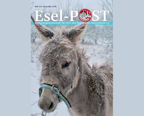 Titelseite Esel-Post 151, 495 x 400 Pixel