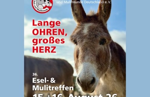 Plakat: Eseltreffen Paaren 2026, 495 x 400 Pixel