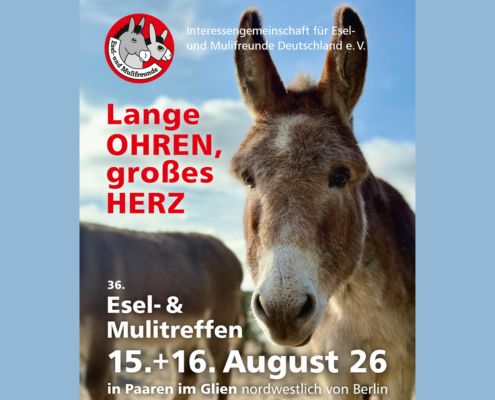 Plakat: Eseltreffen Paaren 2026, 495 x 400 Pixel