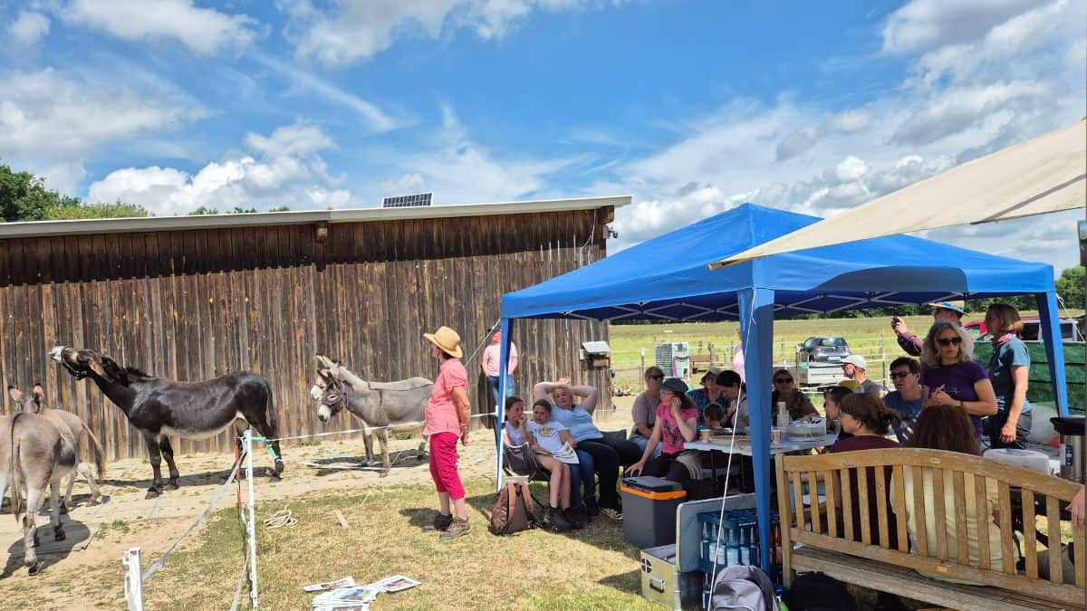 Hessen-Camp mit Eseln