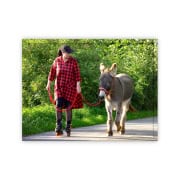 Esel-Trainer | Block 1