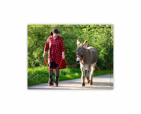 Esel-Trainer | Block 1