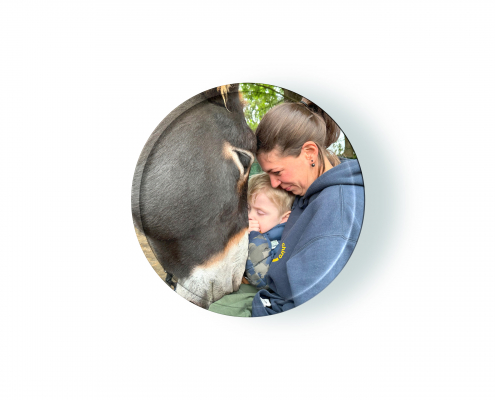 Präsenz-Seminar: Esel in Tiergestützter Intervention