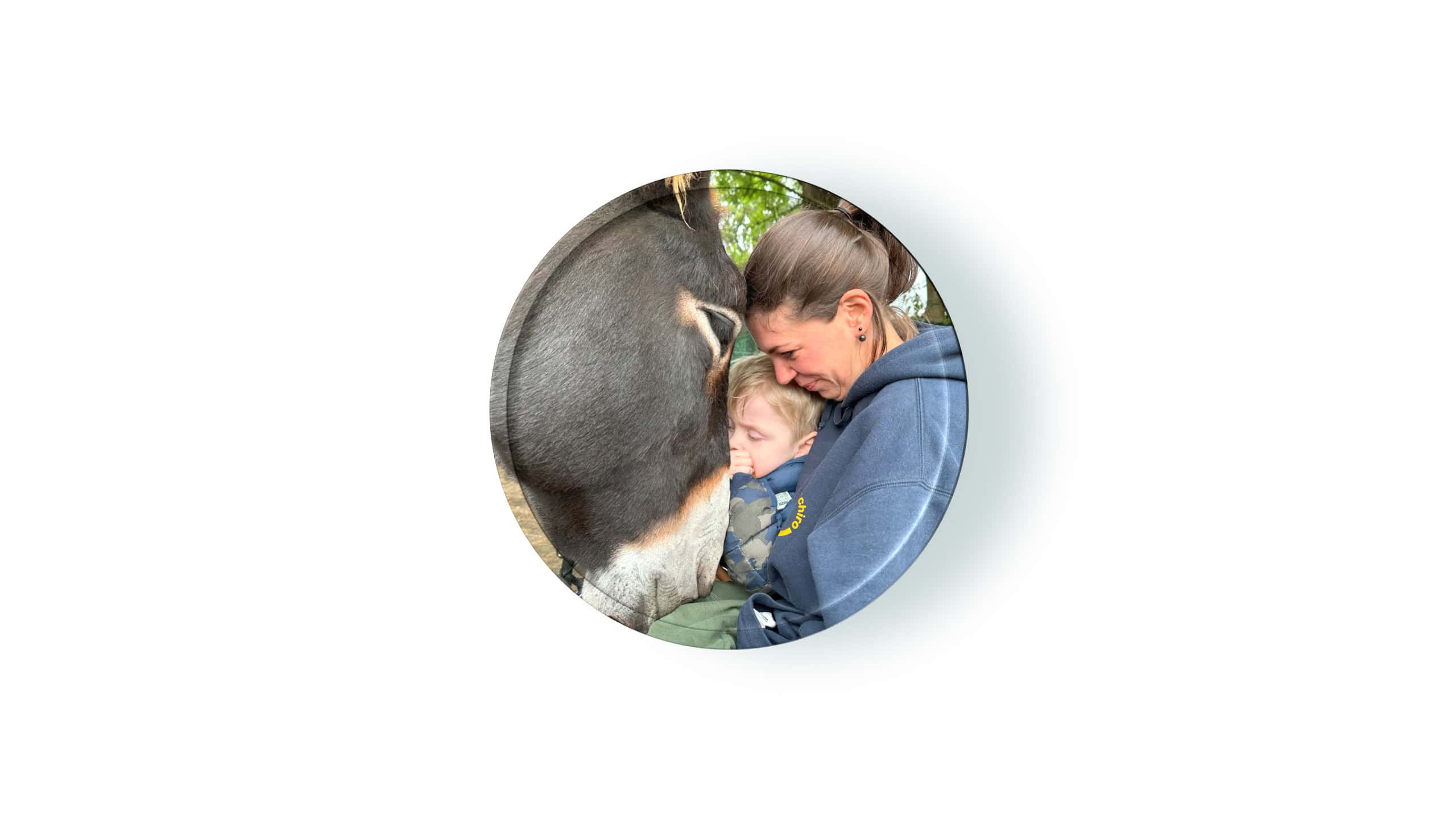 Präsenz-Seminar: Esel in Tiergestützter Intervention