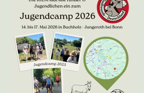 Plakat: Auschnitt des Werbeplakats des Jugendcamps 2026 in Buchholz-Jungeroth, 495 x 400 Pixel