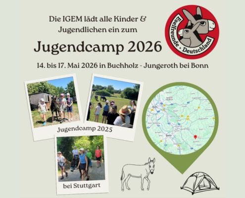 Plakat: Auschnitt des Werbeplakats des Jugendcamps 2026 in Buchholz-Jungeroth, 495 x 400 Pixel