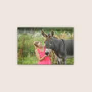 Eseltraining vor Ort (Freiburg und Umgebung)