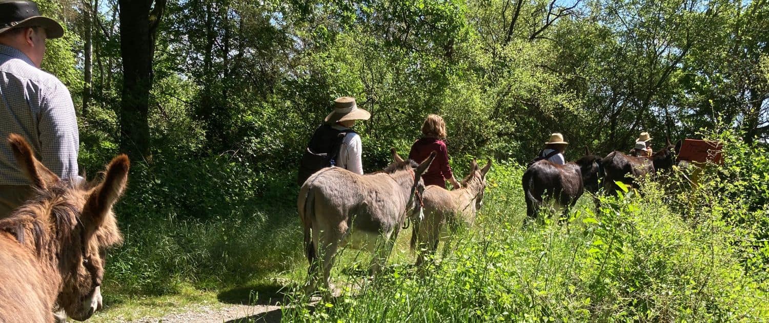 Foto: Eselwanderung in Rosbach am 11.5.2025, Otmar Hoefer, 1400 x 630 Pixel