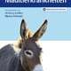 Esel- und Maultierkrankheiten