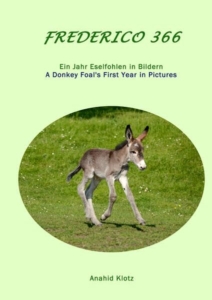 Frederico 366: Ein Jahr Eselfohlen in Bildern
