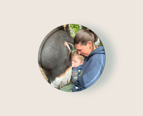 Präsenz-Seminar: Esel in Tiergestützter Intervention