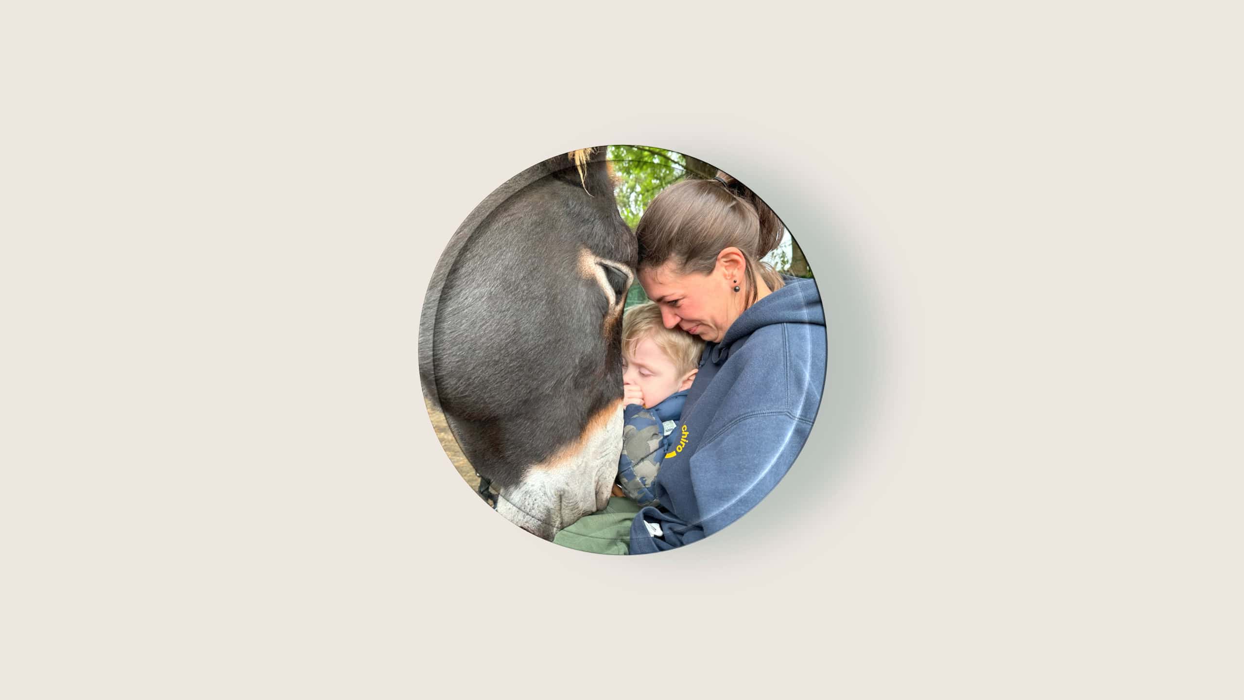 Präsenz-Seminar: Esel in Tiergestützter Intervention