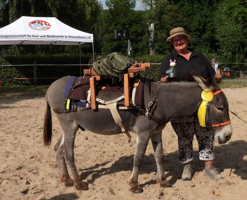 Foto: 2025 Bad Honnef, Packsattelwettbewerb,990 x 800 Pixel, Foto: Petra Tönsmann