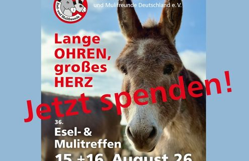Plakat: Einladung zum Esel- und Mulitreffen 2026 nach Paaren mit dem Aufruf: Jetzt spenden! 495 x 400 Pixel