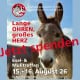 Plakat: Einladung zum Esel- und Mulitreffen 2026 nach Paaren mit dem Aufruf: Jetzt spenden! 495 x 400 Pixel
