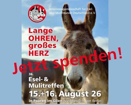 Plakat: Einladung zum Esel- und Mulitreffen 2026 nach Paaren mit dem Aufruf: Jetzt spenden! 495 x 400 Pixel