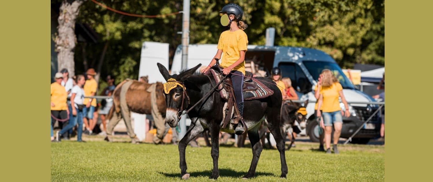 Foto: Teenager reitet Esel 2022 in Forst beim Eseltreffen, Fotografin Felicitas Frädrich, 1500 x 630 Pixel