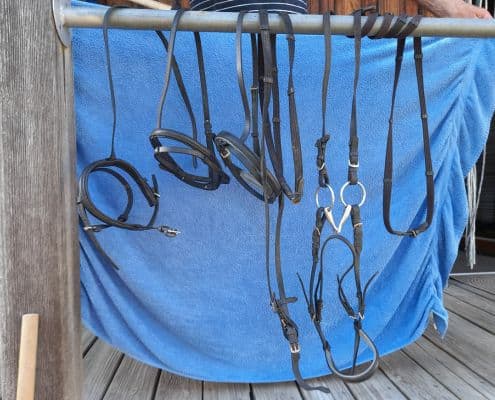 Foto: Halfter mit Ringtrense, Zügel, Einzelteile aus Leder, EP 153 Marktplatz Angebote, 495 x 400 Pixel