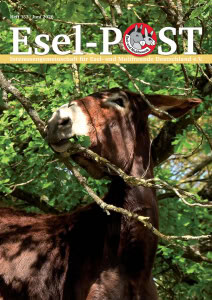 Foto: Titelseite Esel-Post 153, Esel nascht Baumblätter