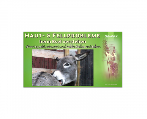 Haut- und Fellprobleme beim Esel verstehen