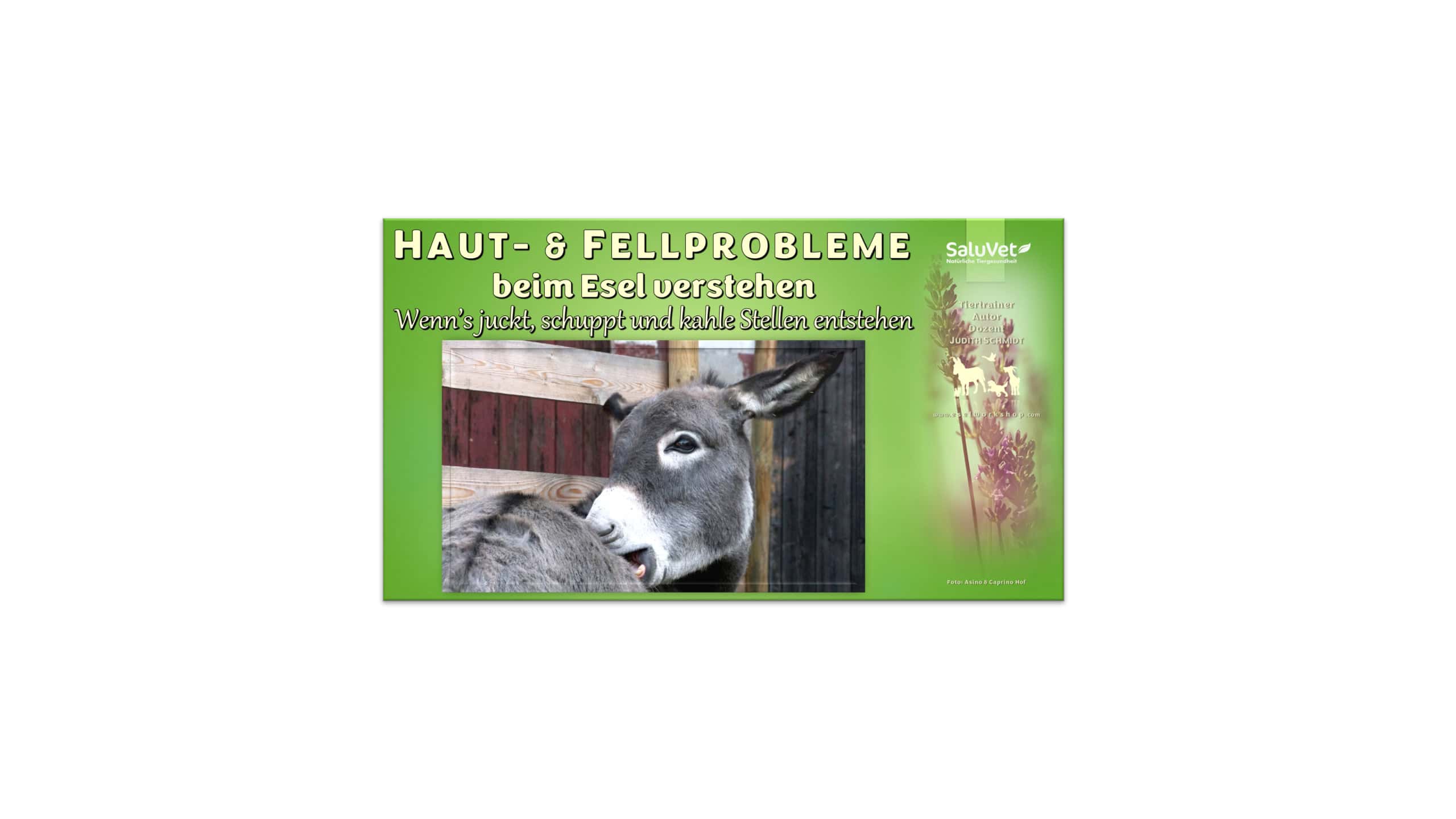 Haut- und Fellprobleme beim Esel verstehen