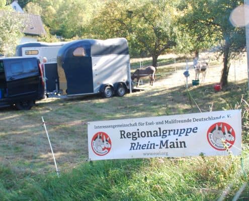 Wispergeflüster: Esel-Wanderung